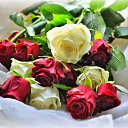 ���� ���������, ����������� - ��������� 16 ���� 2021 � ������ ���� ����������