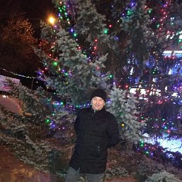 ������, �����������, 43 ����