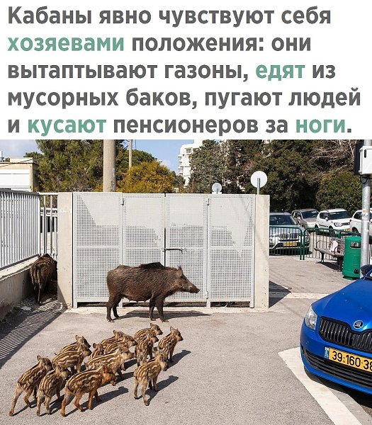    - 20  2021  08:07 - 2