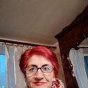 2022 ��� �� ������� ���� ����������