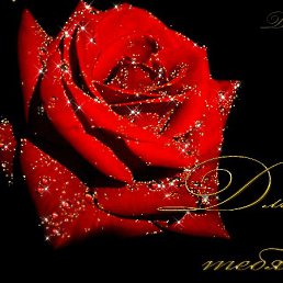 ���� �����, �������, 67 ��� - ��������� 25 ������ 2022