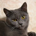  ,  -  13  2021      !!!!!!!