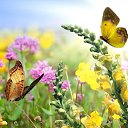 ���� �., �����������, 70 ��� - ��������� 26 ������ 2021 � ������ ������ ��������