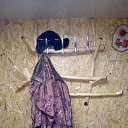 ���� ����, ��������, 44 ���� - ��������� 10 ������ 2021 � ������ ������ ��������