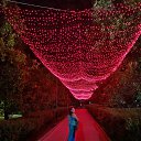 ���� Arisha, �����-���������, 50 ��� - ��������� 7 ������� 2021 � ������ ���� ����������