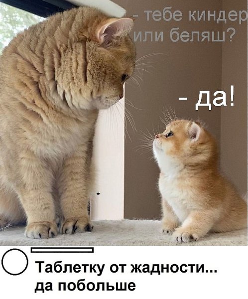   :D - 18  2021  14:23