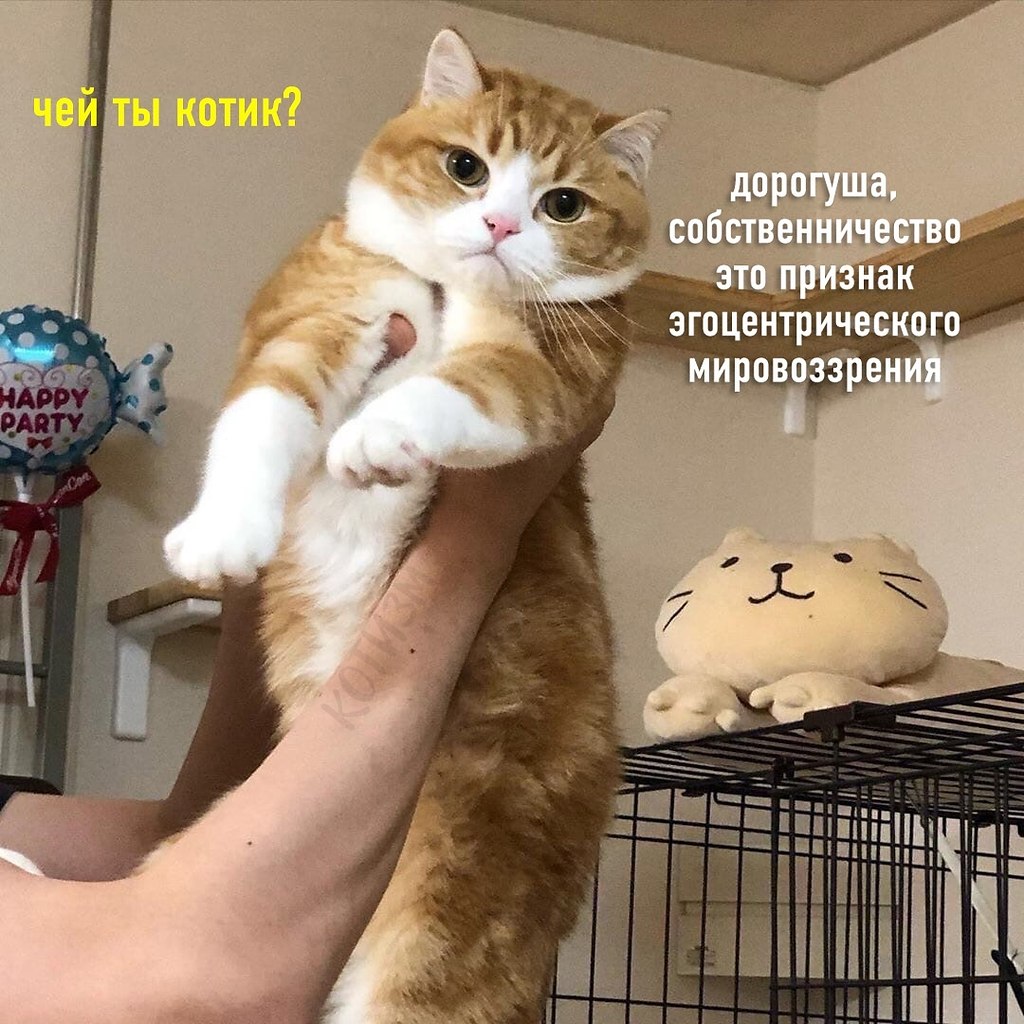       - 2