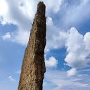 ���� ���������, ������, 32 ���� - ��������� 23 ������� 2021 � ������ ���� ����������