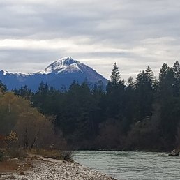 ���� �������, �������, 44 ���� - ��������� 6 ������ 2021