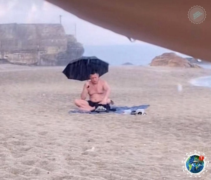 oa oc oo o pa  o, eo e oeae ee acac . gratplant - 3