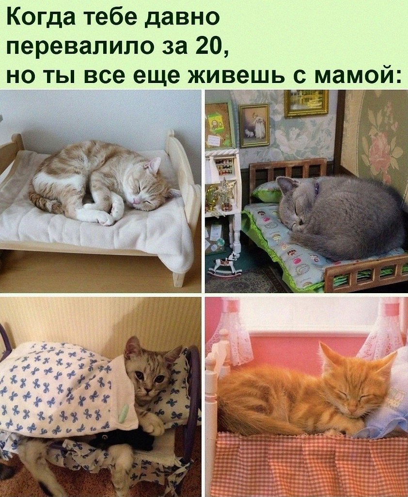 ������ ��������� :D - 24 ������ 2022 � 20:35