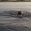  , , 42  -  28  2021   . 