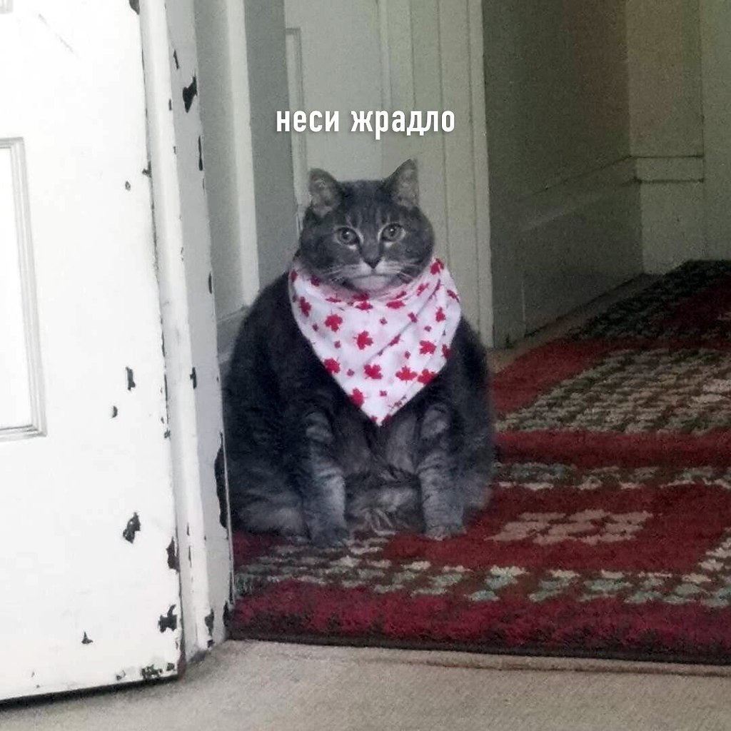 - 