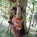 ���� Lyubov, ������ - ��������� 3 ������� 2022 � ������ ������ ��������