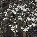 ���� �������, ������, 49 ��� - ��������� 23 ������� 2021