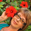 ���� �����, ���� - ��������� 8 �������� 2021