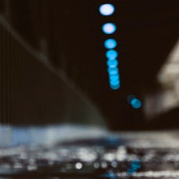 ������, �����-���������, 31 ���