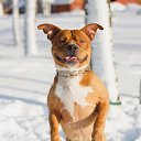 ���� Aleksei, ����������, 51 ��� - ��������� 11 ���� 2021