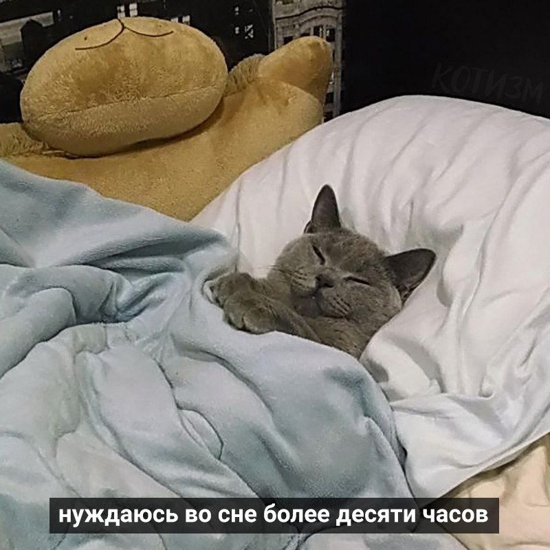 ,   ,  , : - 3
