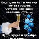 ���� �����, ���������, 72 ���� - ��������� 7 ������� 2021 � ������ ������ ��������