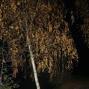  , , 75  -  27  2021    -    .    !