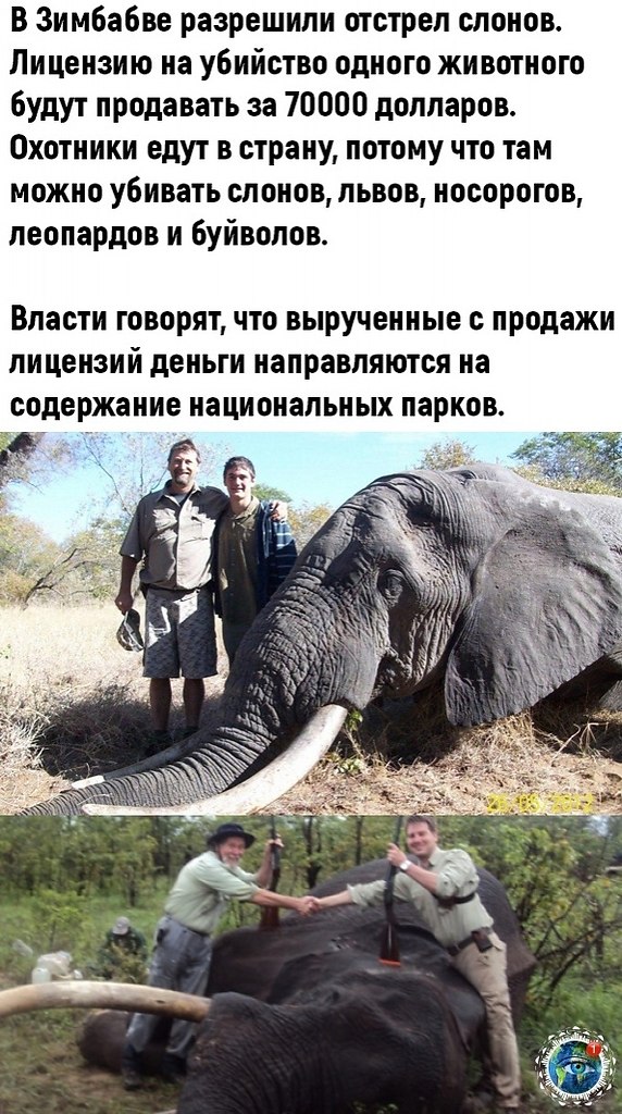 �p���� c�oco�o� �a��� �e���� �e �p����a��.