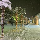 ���� Aleksiya, ���� - ��������� 8 ������ 2022 � ������ �������� �����