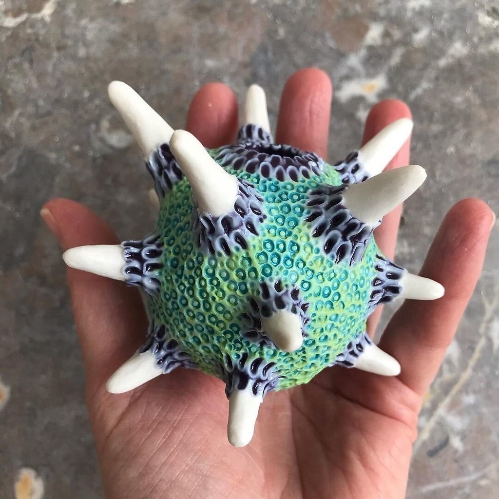 �������������� �������! ����� ���������� ������ �� ������� ������ �� Lisa Seaurchin - 3
