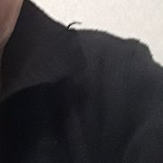 ��������, 49 ���, ������