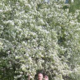 ���� �������, ����������� - ��������� 9 ������� 2021