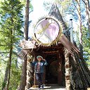 ���� �������, �������, 67 ��� - ��������� 26 ���� 2021