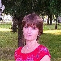 �����, ������