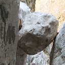 ���� ������, ����, 38 ��� - ��������� 6 �������� 2021 � ������ ���� ����������