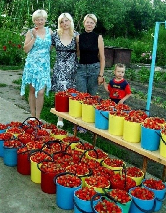 Bo o ypoa!