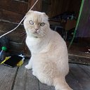 ���� ����, ����������, 60 ��� - ��������� 11 ���� 2021