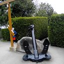 ���� ����, ������, 65 ��� - ��������� 25 ������ 2021 � ������ �25.04.2021 ������� �����������, ������