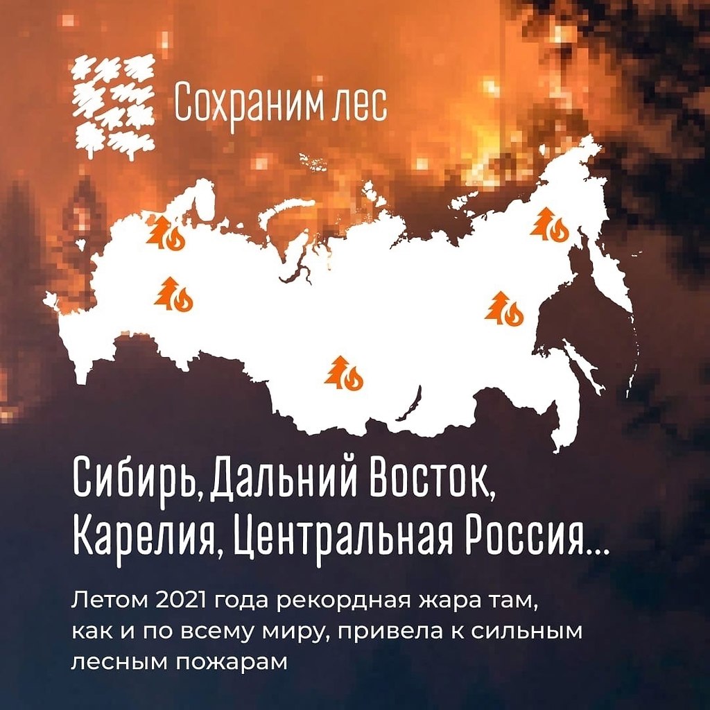 Жаркое лето 2021 года не прошло бесследно. В России, как и ... | Идеи для  жизни | Фотострана | Пост №2381158315