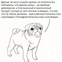���� �����, ��������������, 43 ���� - ��������� 16 ������� 2021 � ������ ������ ��������