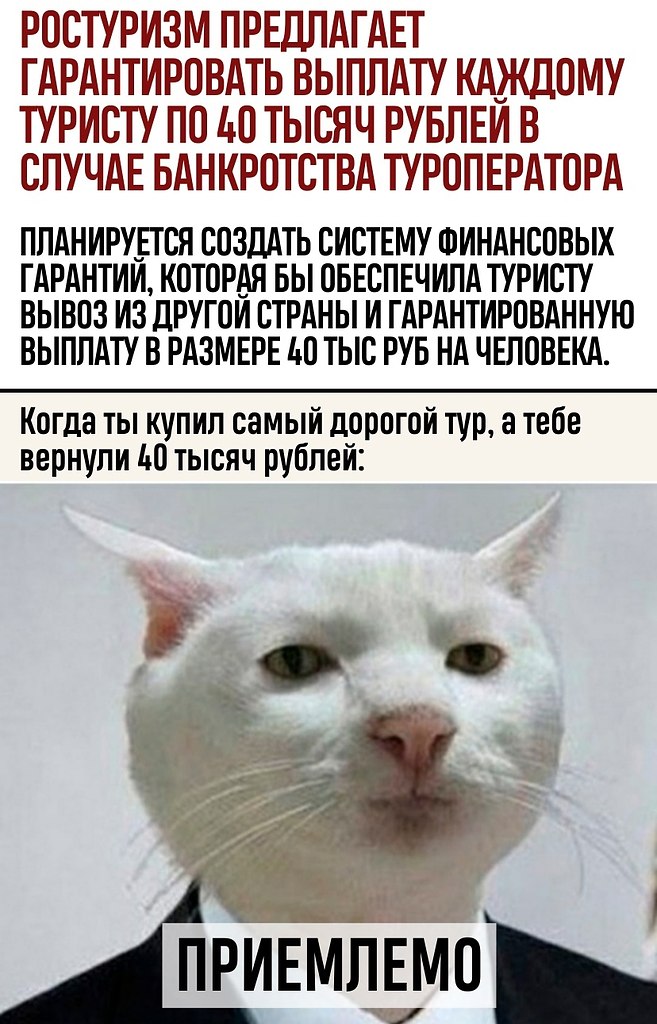   -   - 8  2022  10:59