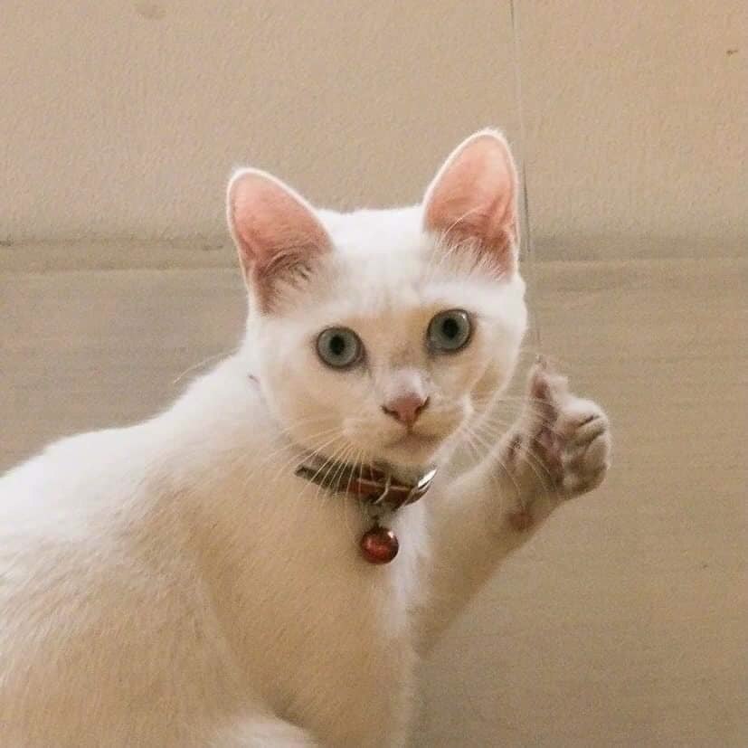 ,        ,  ,     ...