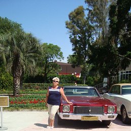 , 61, -
