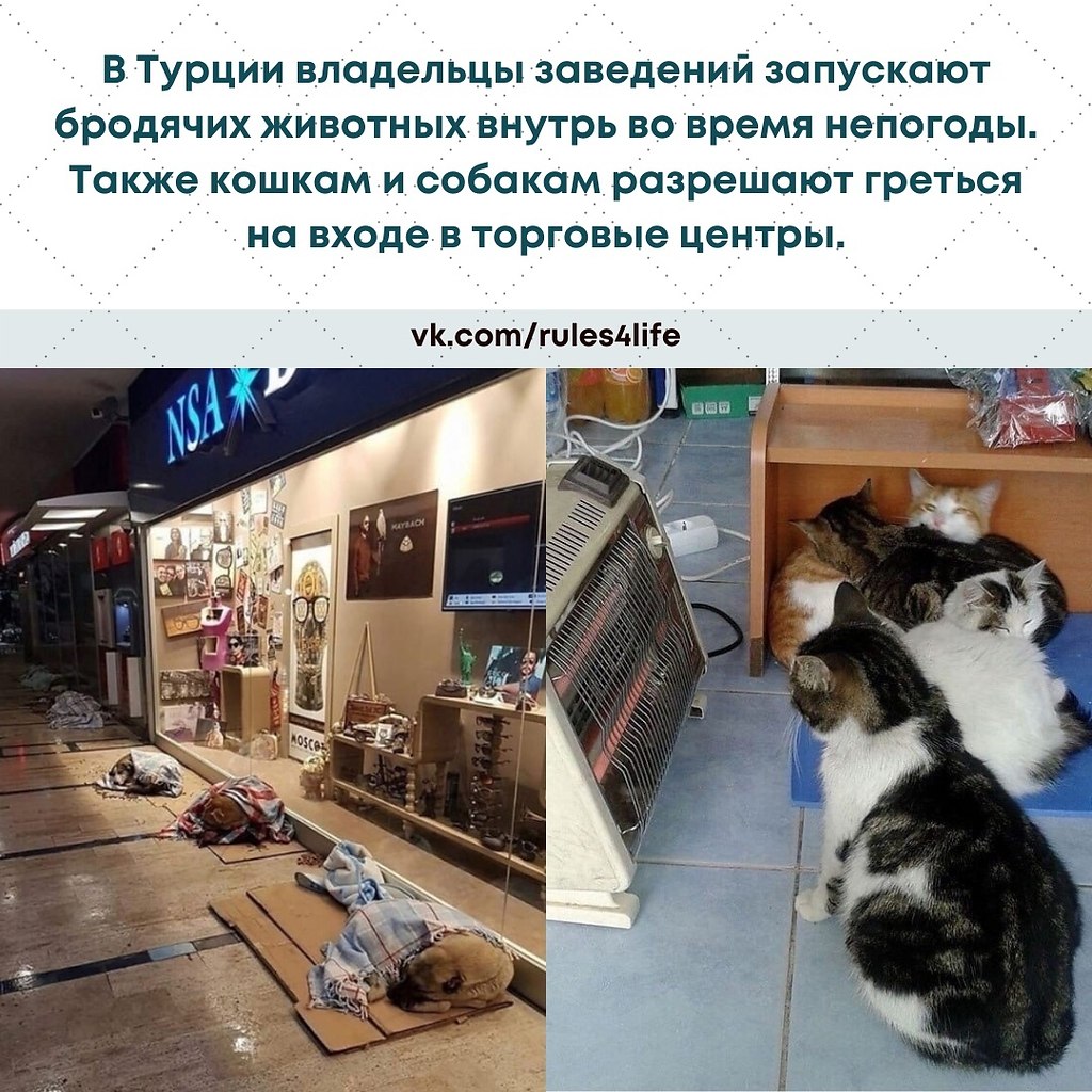 LIFE - ������� - 1 ���� 2021 � 14:31