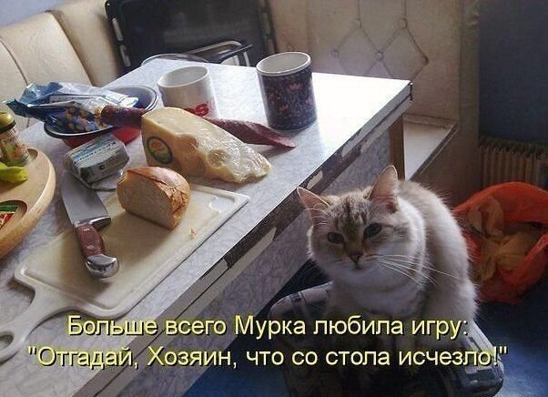    - 24  2021  13:14