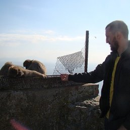 ������, �����������