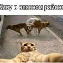 ���� ��������, ������� - ��������� 12 ������ 2022 � ������ ������ ��������