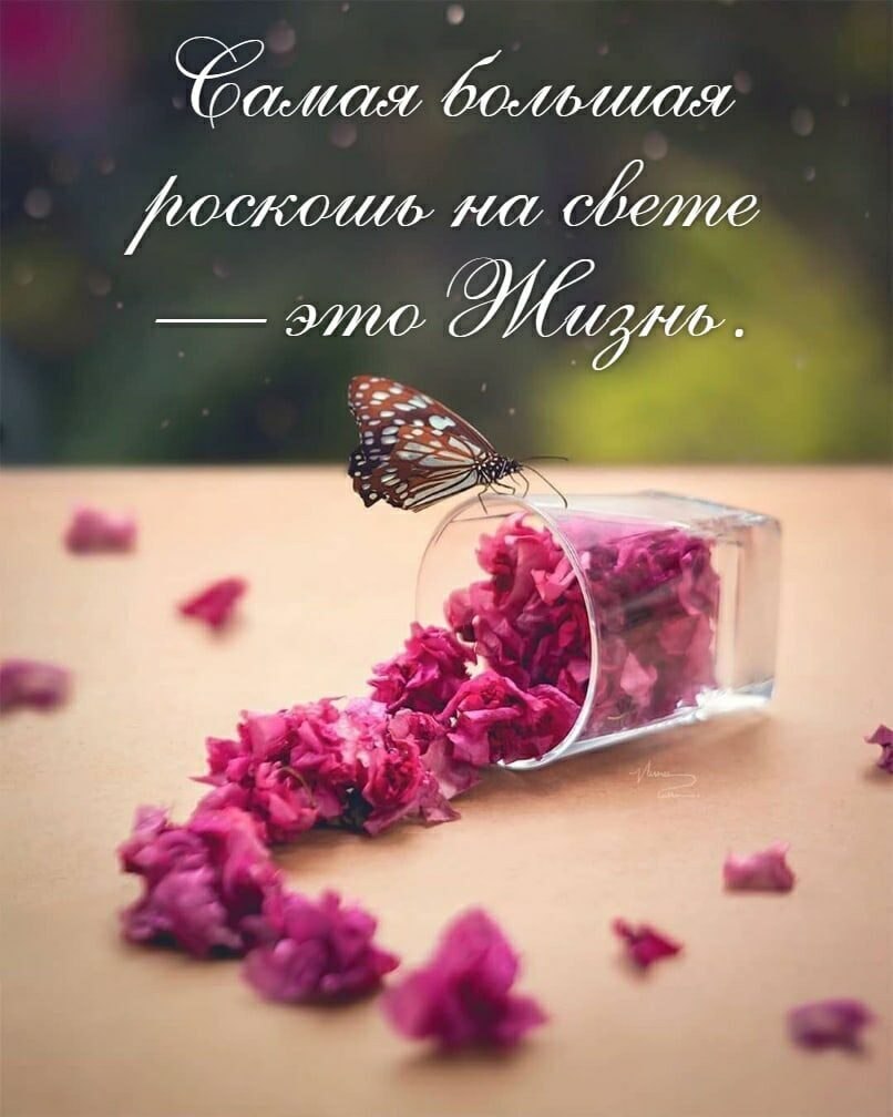 Вам кажется, что если вы чего-то не видите, этого не существует. Нет, просто вы не замечаете в мире ...