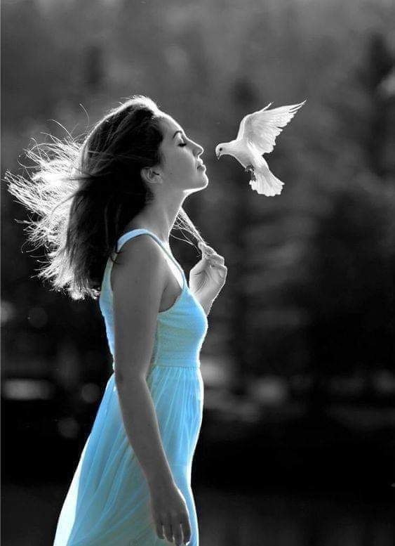 ˸����� ��� ��� � ����������� ����������!!!