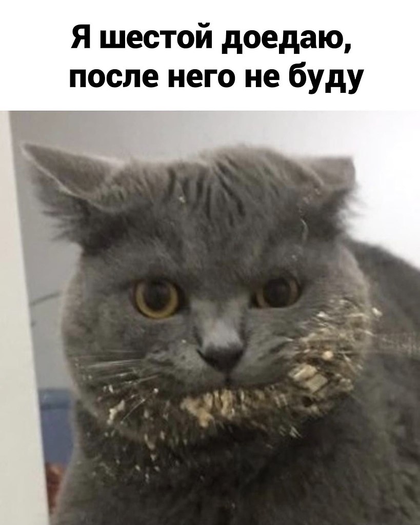 ������� �������, ���� ������������.������� - 4