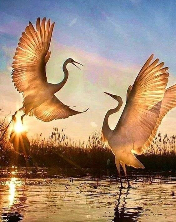 � ���������� ���� �� �����!