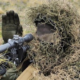 �����, ���������, 54 ����